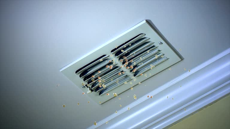 Best HVAC Duct Inspection Services  in Ransom Canyon, TX